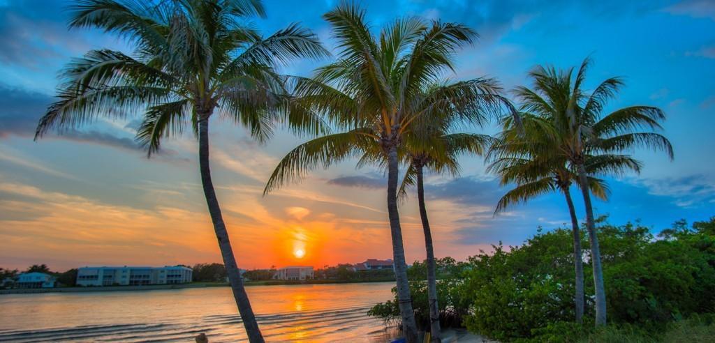 RIVER - Residential Lease