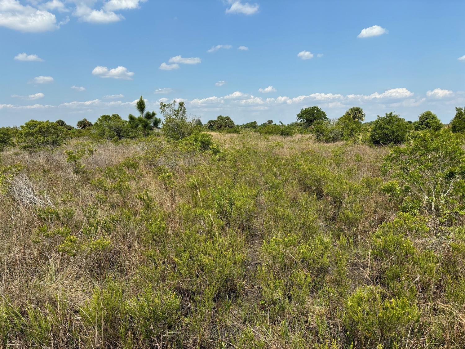 Here it is! Your 5 acre farmstead! Bordering the Kissimmee Prairie State Park, the property has cabbage palms, palmettos and plenty of open area for you and generations to come to create your own sustainable property with fruit trees, livestock and more.
Owner Financing makes this property a must see