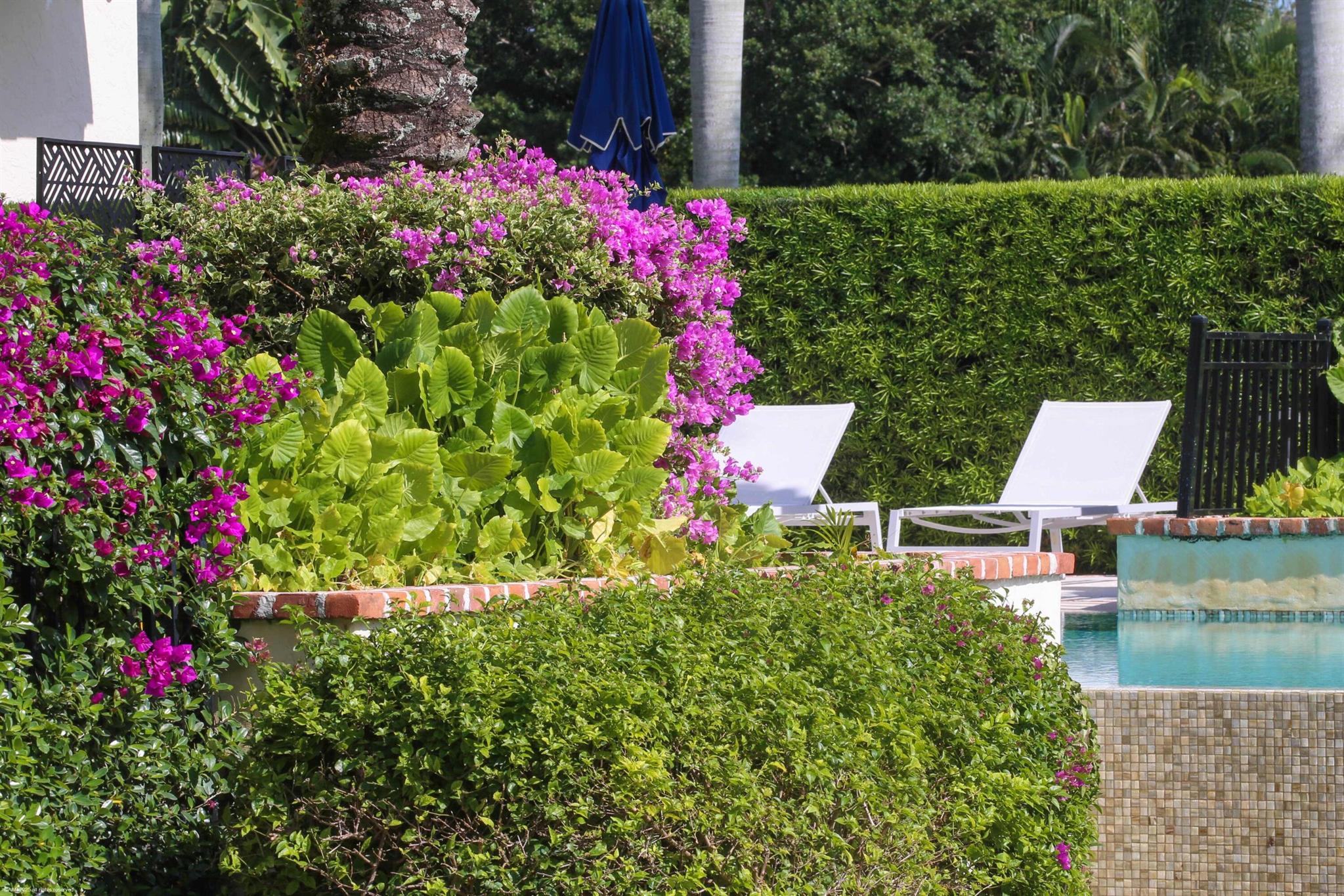 SADDLE TRAIL PARK OF WELL - Residential