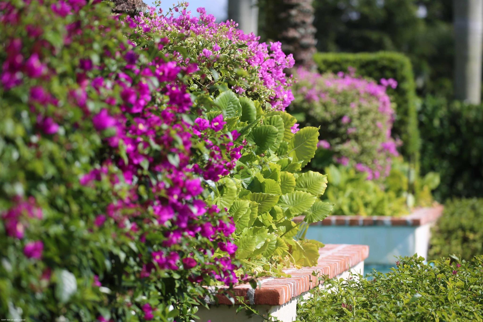 SADDLE TRAIL PARK OF WELL - Residential