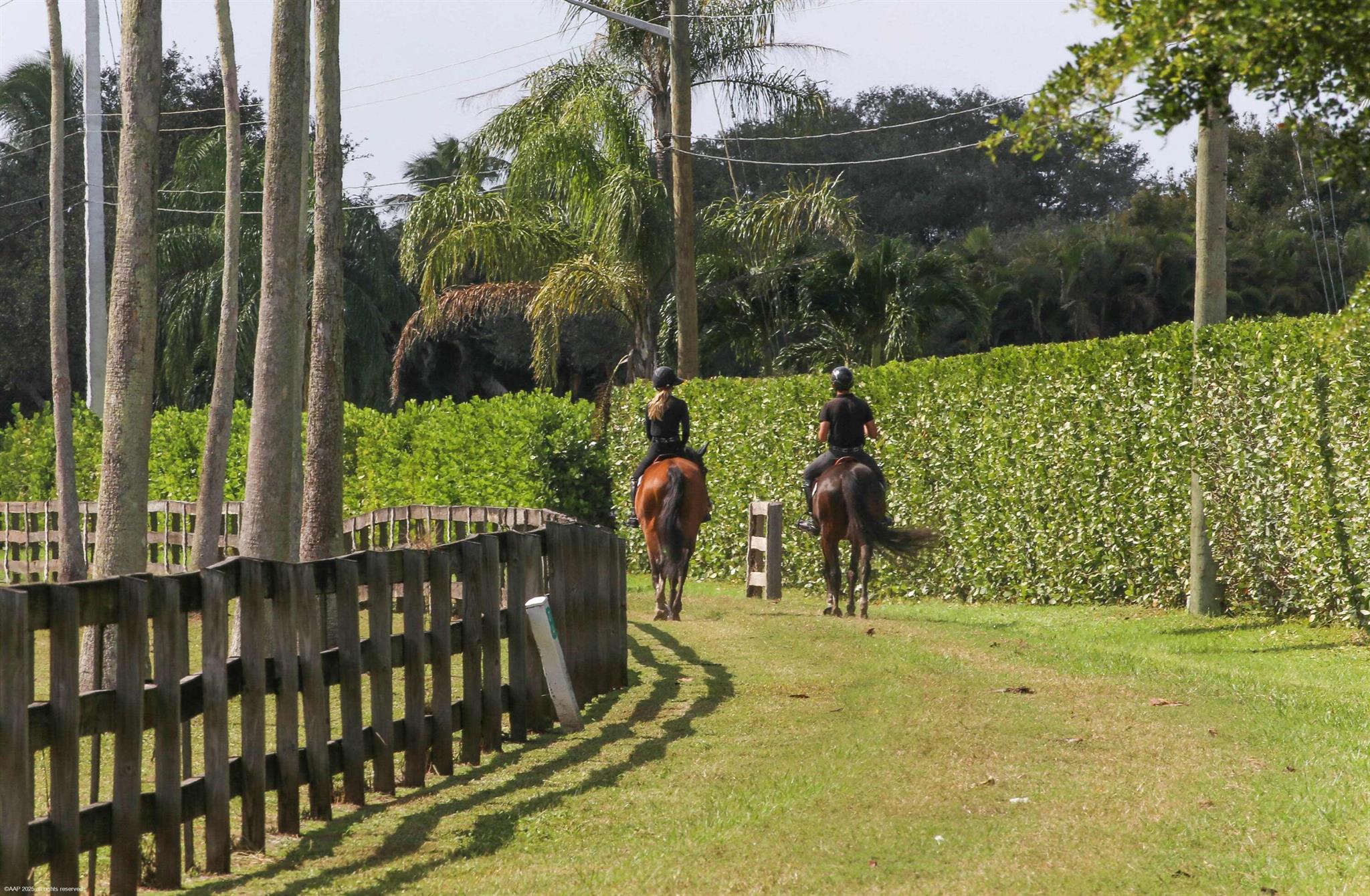 SADDLE TRAIL PARK OF WELL - Residential