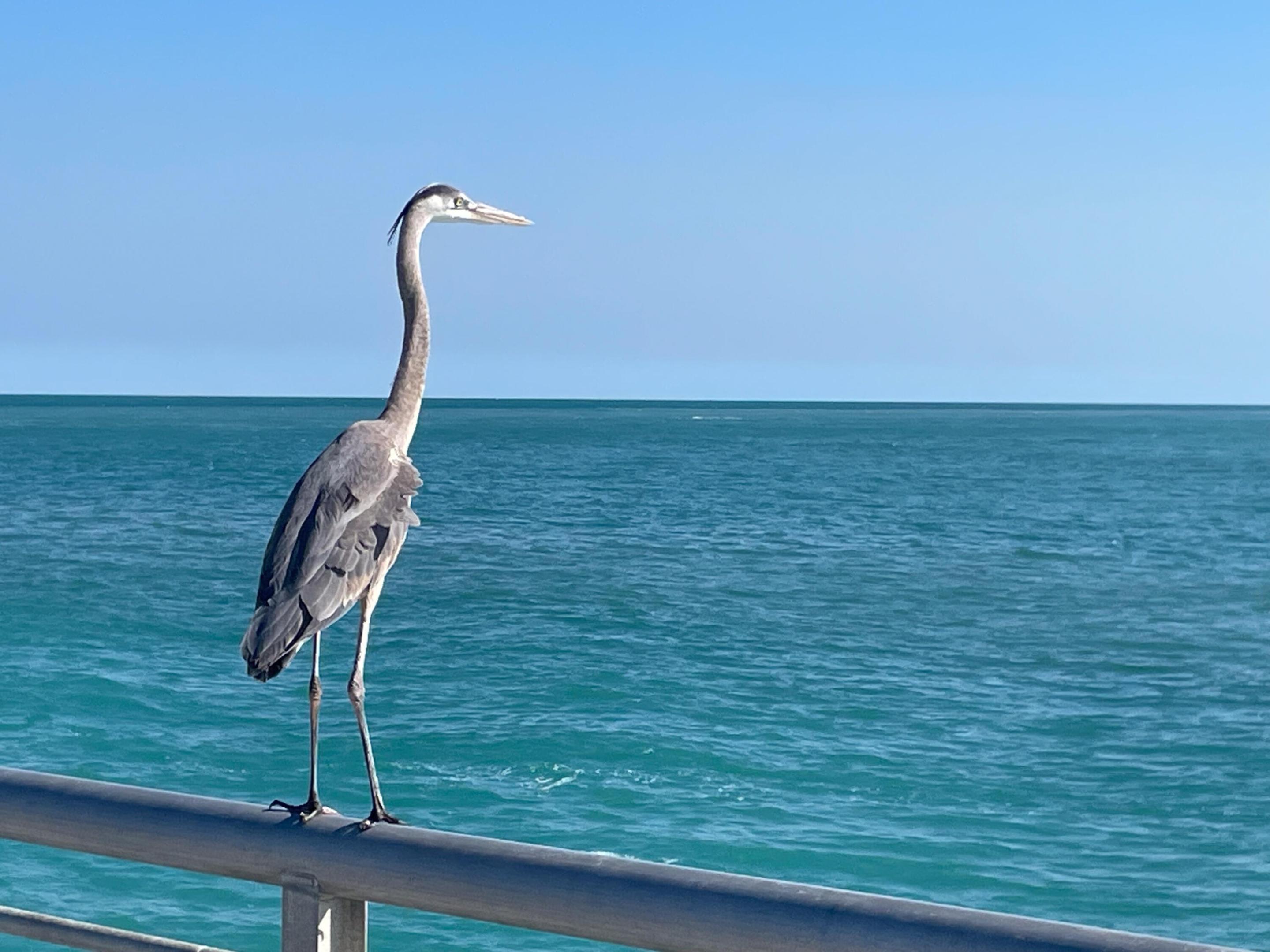 SAMPSON GROVE SUBDIVISION - Residential