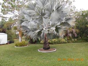 Port St Lucie Section 44 - Residential