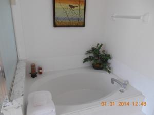 Port St Lucie Section 44 - Residential