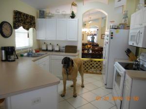 Port St Lucie Section 44 - Residential