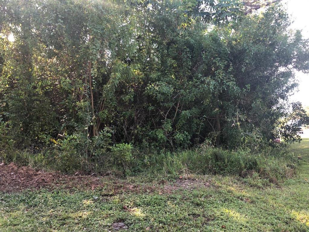Nice corner lot just over 1/4 acre.