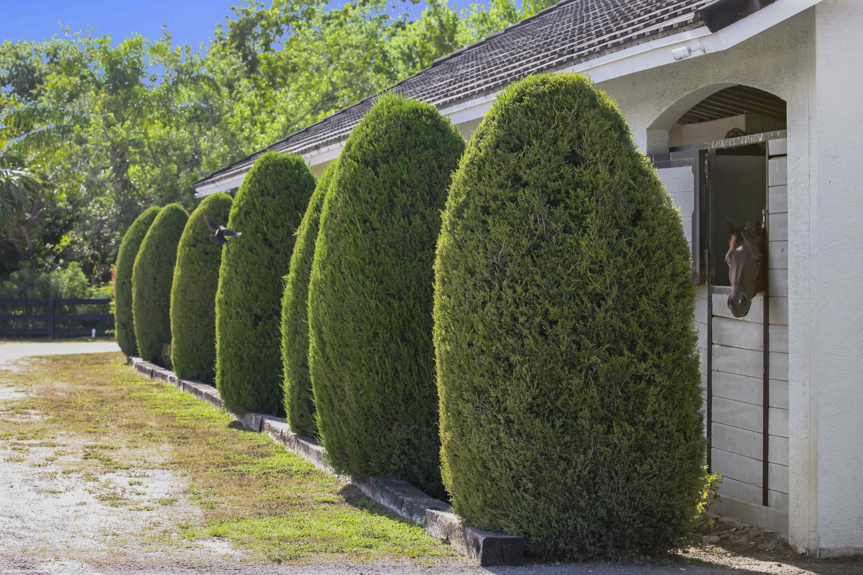 SADDLE TRAIL PARK OF WELL - Residential