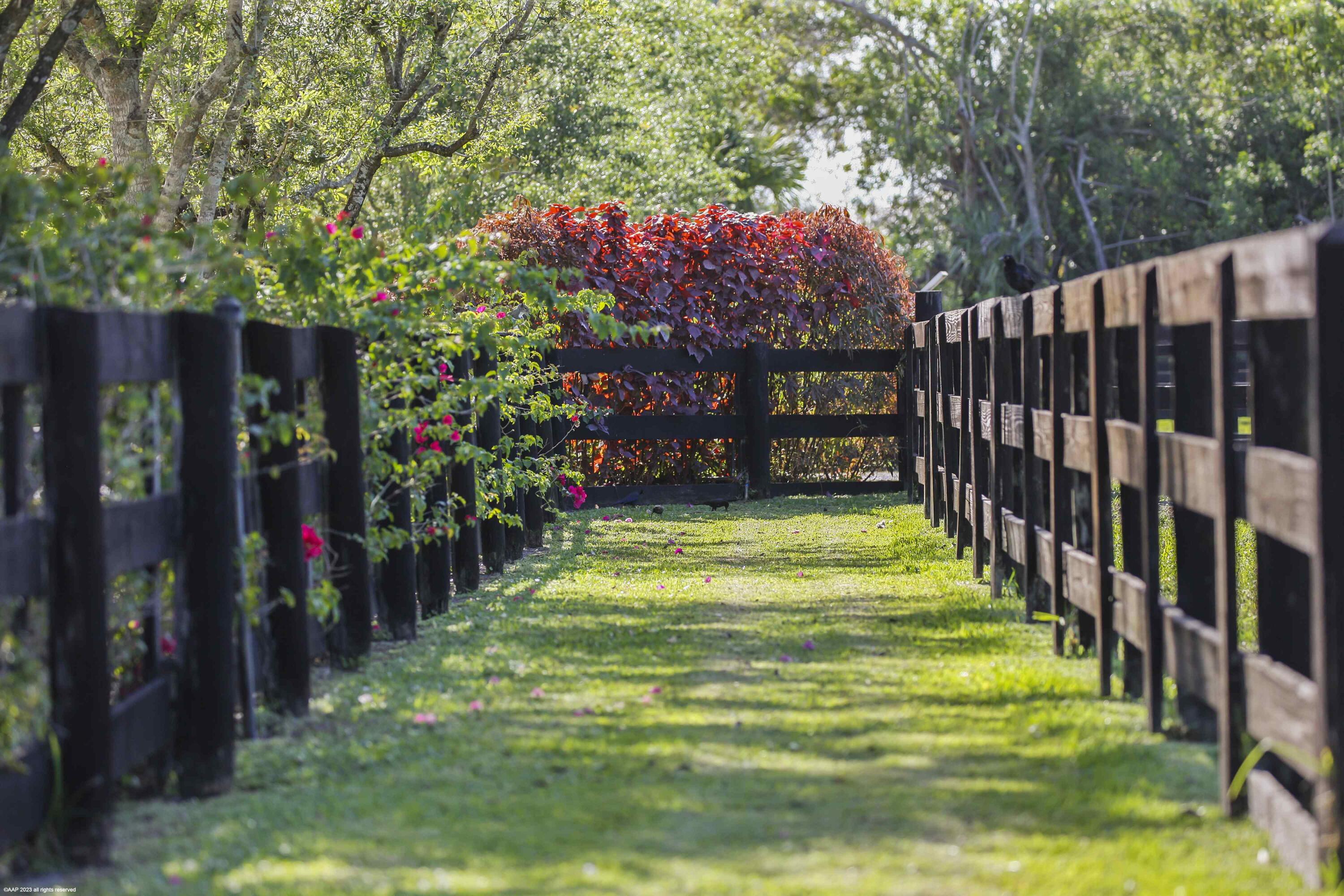 SADDLE TRAIL PARK OF WELL - Residential