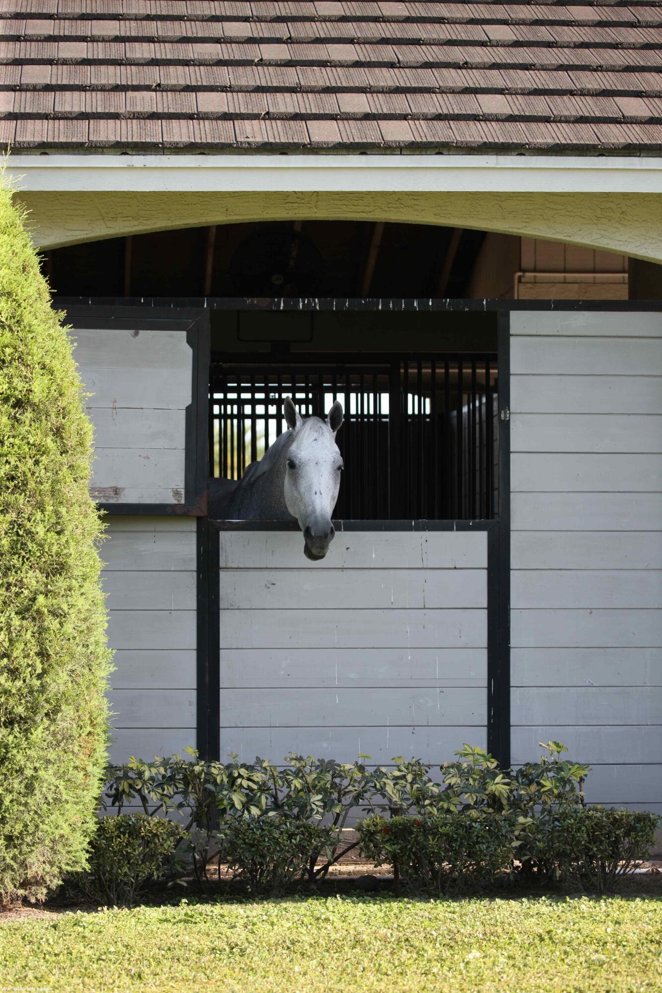 SADDLE TRAIL PARK OF WELL - Residential