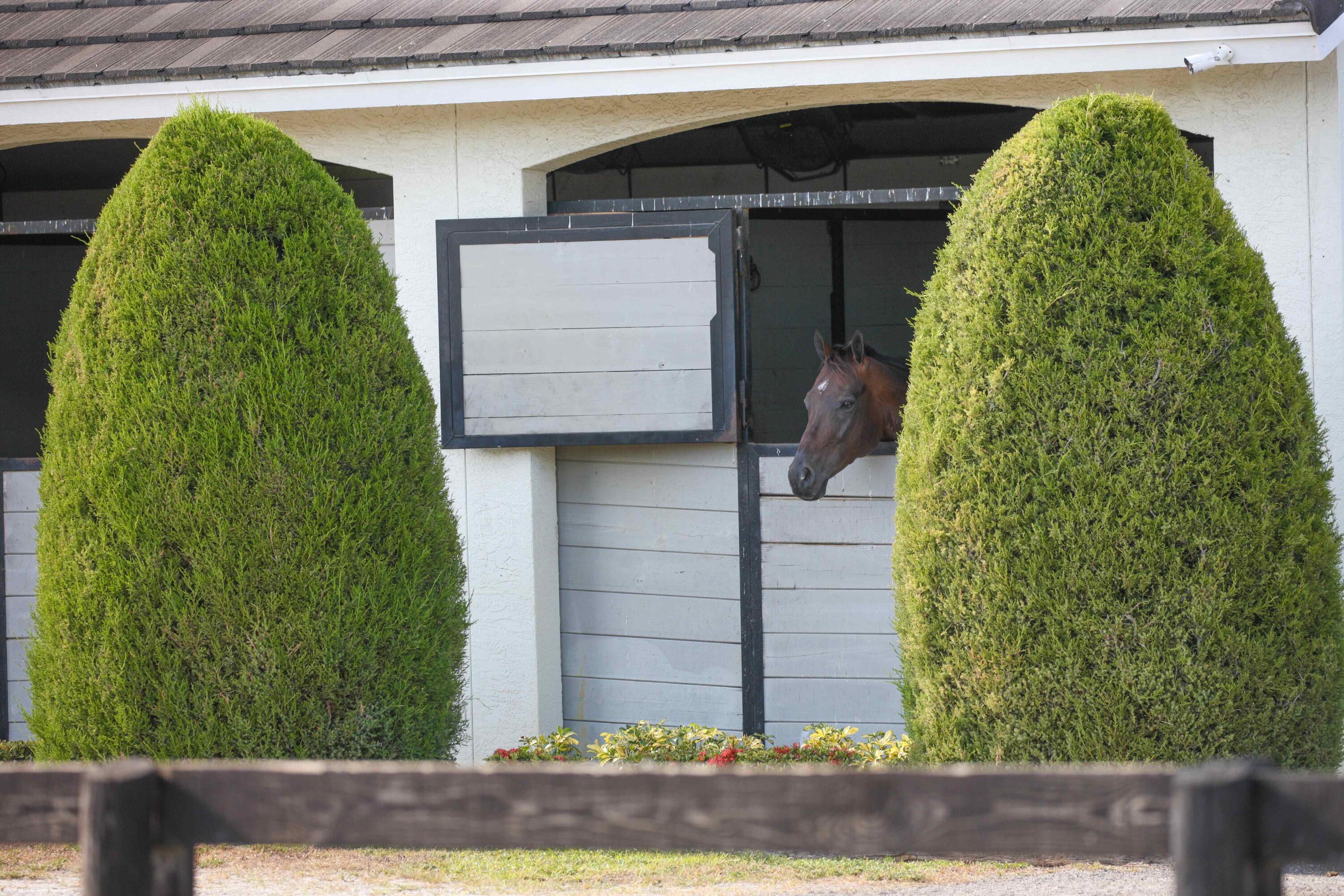 SADDLE TRAIL PARK OF WELL - Residential