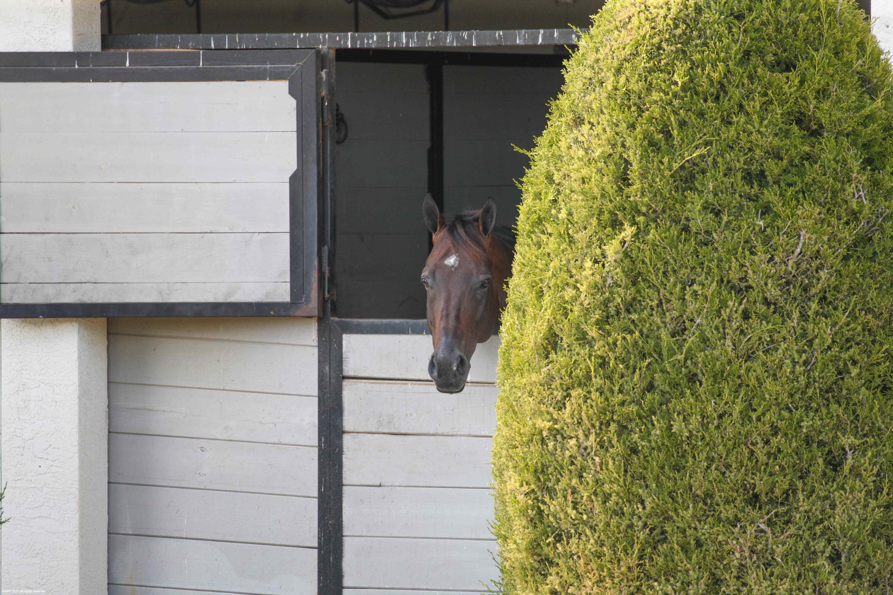 SADDLE TRAIL PARK OF WELL - Residential