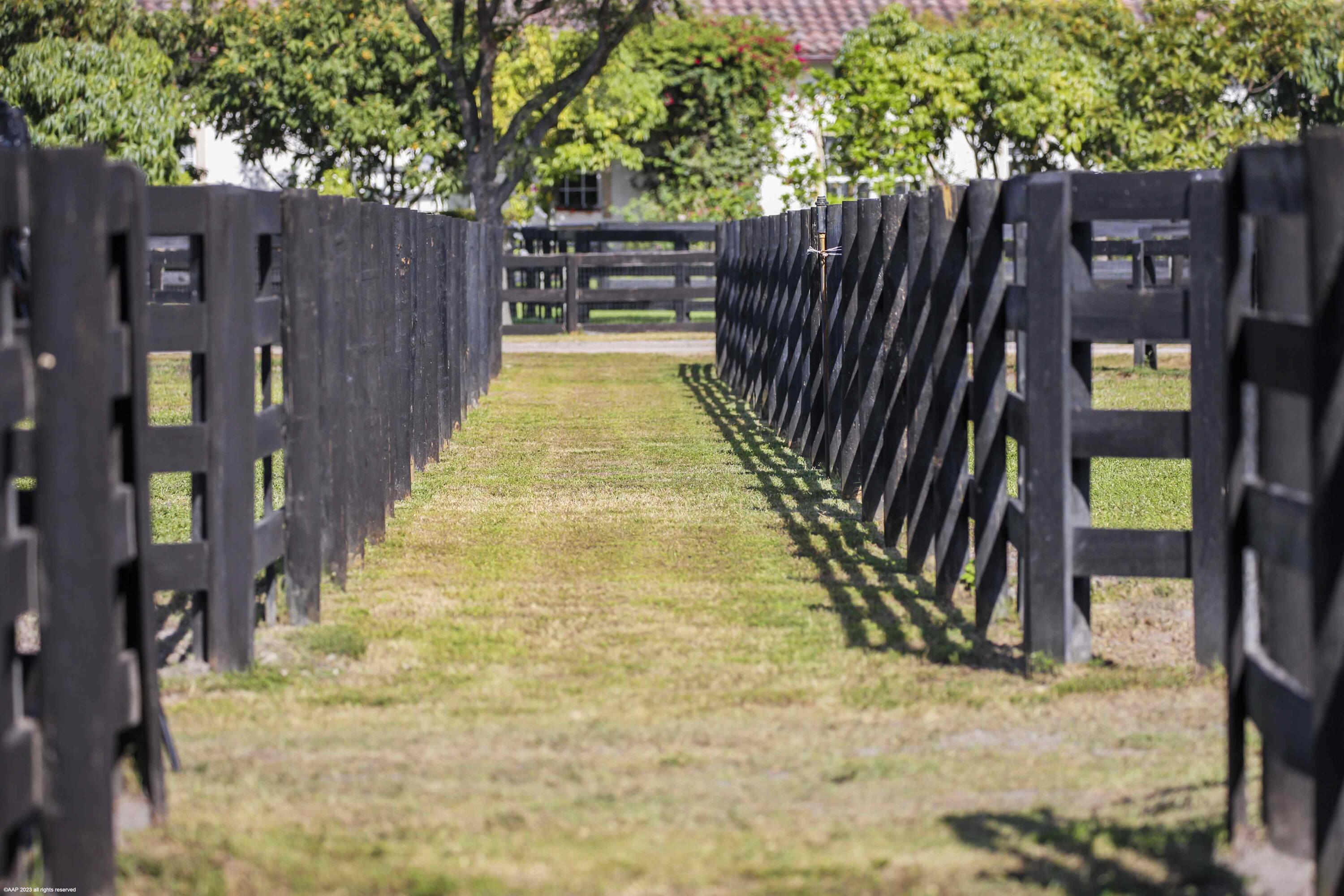 SADDLE TRAIL PARK OF WELL - Residential