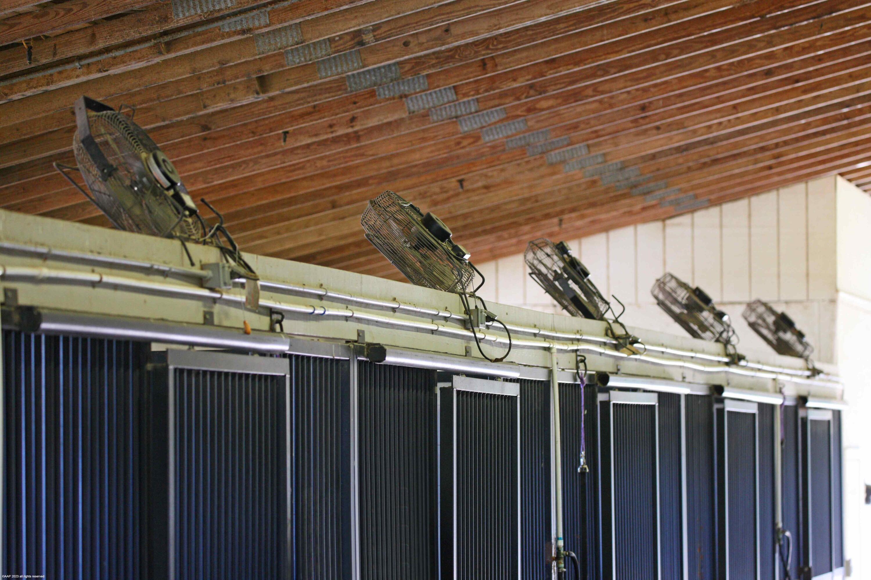 SADDLE TRAIL PARK OF WELL - Residential