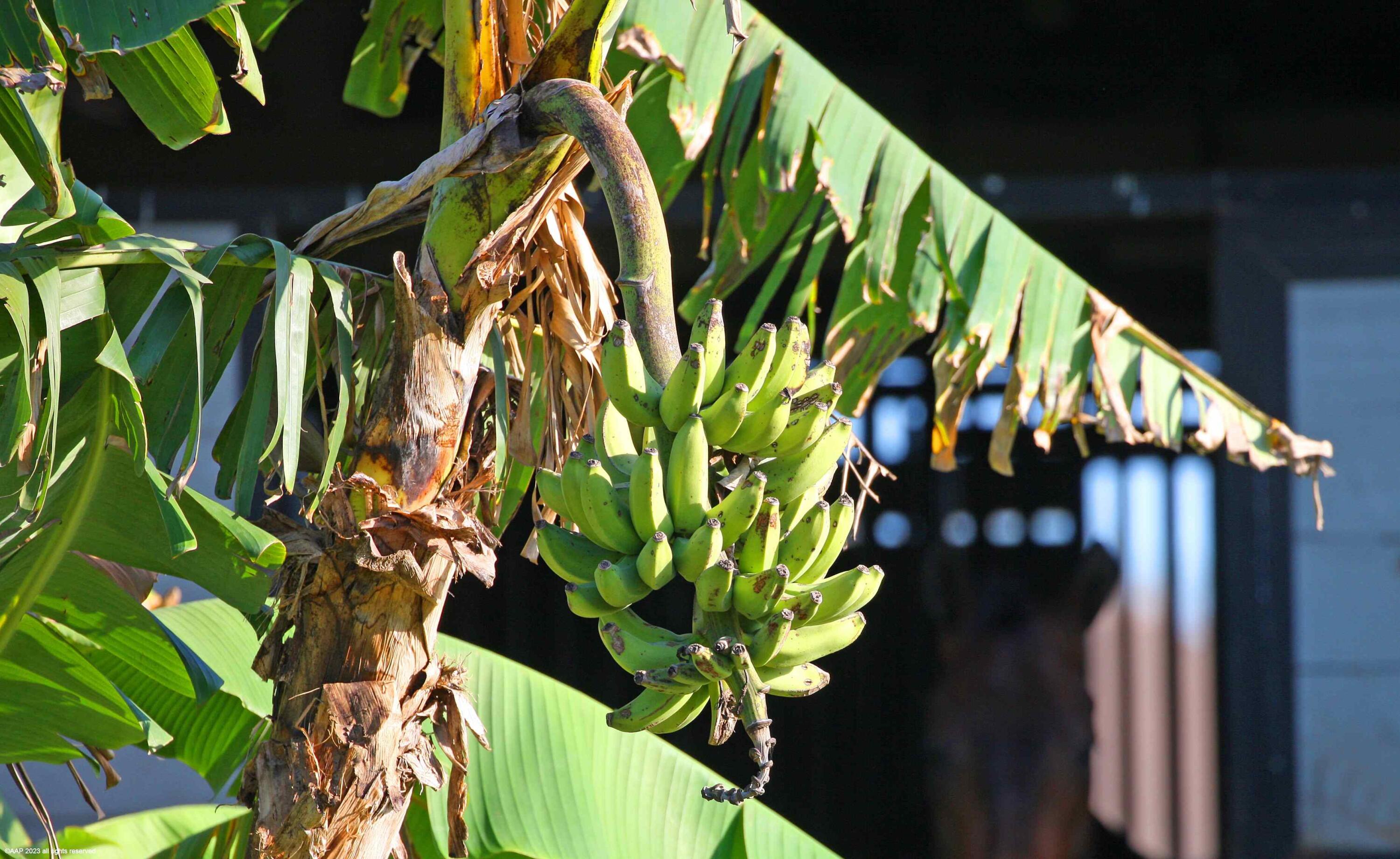 SADDLE TRAIL PARK OF WELL - Residential