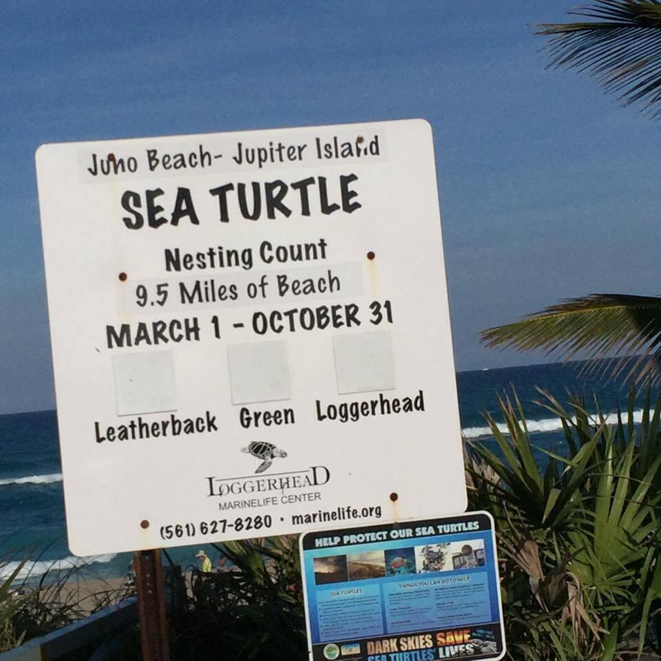 OCEAN TRAIL CONDO I - Residential Lease