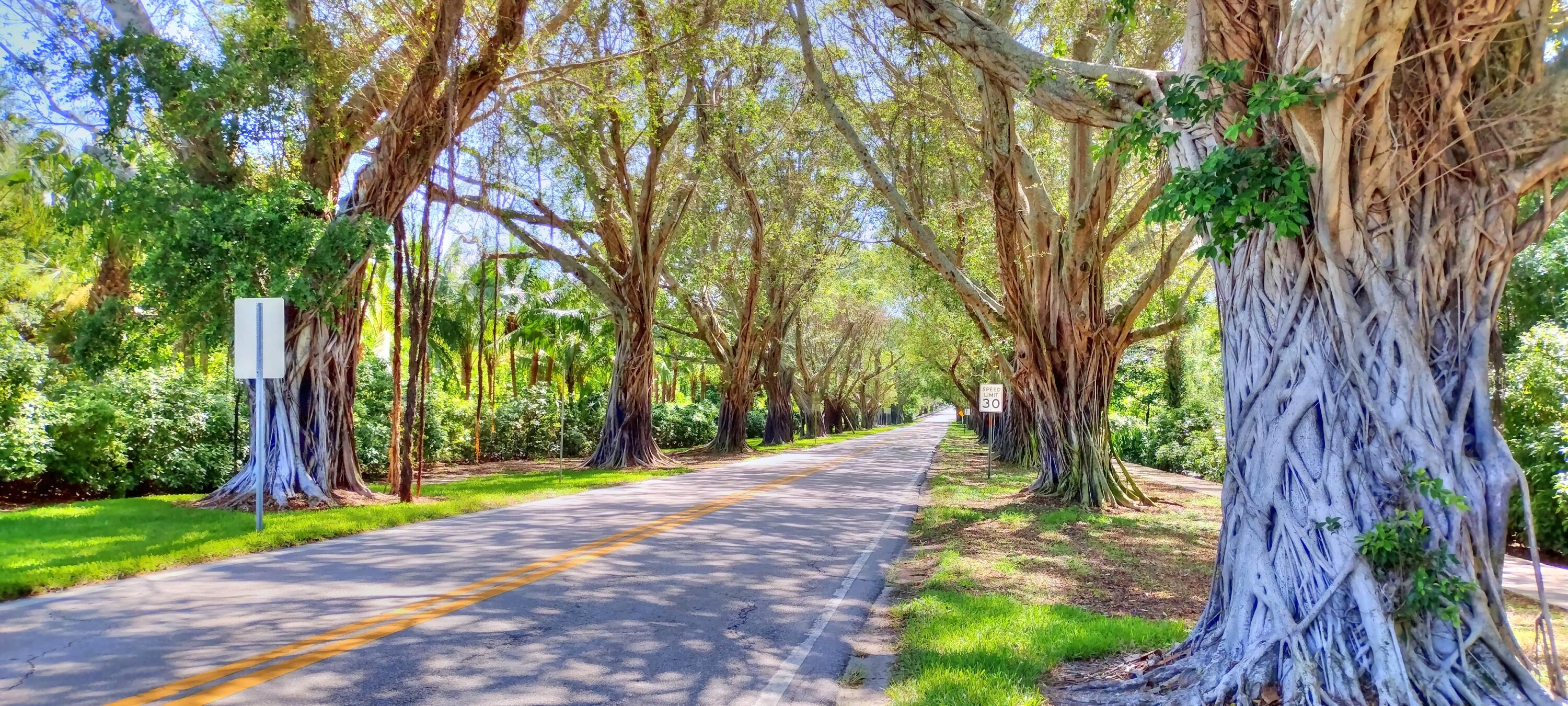 GEORGETOWN AT HERITAGE RIDGE - Residential