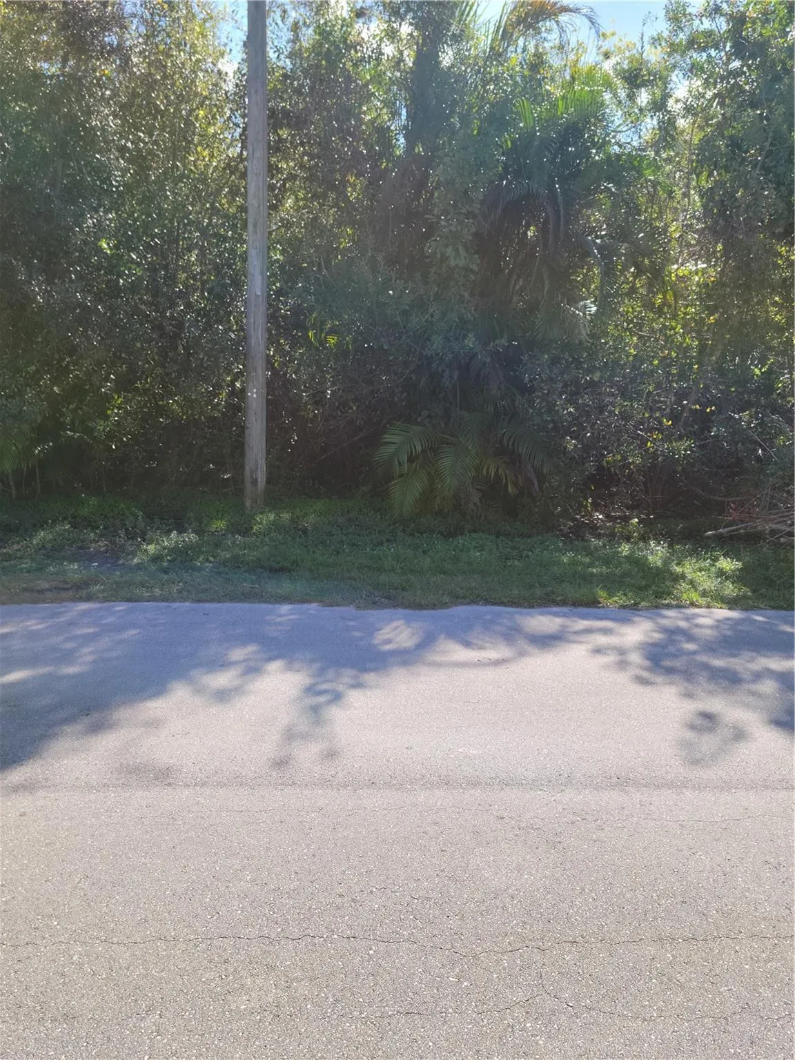 424 Aster Rd  