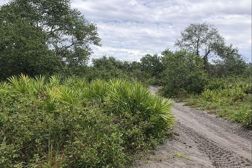 Recreational, hunting and camping land. Easy access to this one plus acre property in Lake Wales.Owner financing available