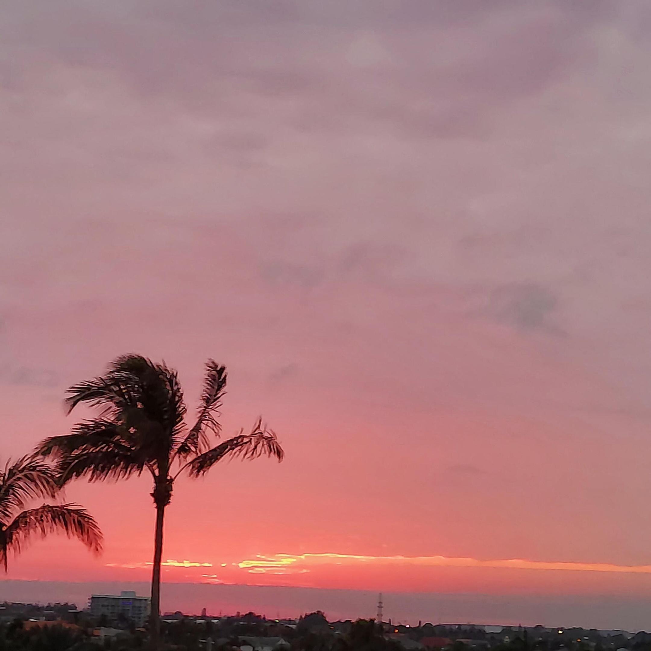 4000 N Ocean Drive 403