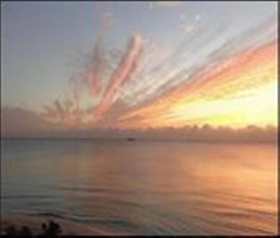 * MUST SEE * BEST LOCATION IN THE HEART OF ft Lauderdale *;PANORAMIC VIEW** WALK TO BEACH**
BEAUTIFUL SUNSET ON DOWNTOWN- Direct on THE INTRACOASTAL -- BEAUTIFUL LAS OLAS MARINA.- WITH ALL THE FACILITIES *** WATCH THE BOAT PARADE EVERYDAY.*** 2 NEW A/C--NEW STOVE--NEW WATER THANK -- - FRESHLY PAINTED;
****NO REC LEASE ***HOA ONLY $385.00 PER MONTH***
MUST SEE