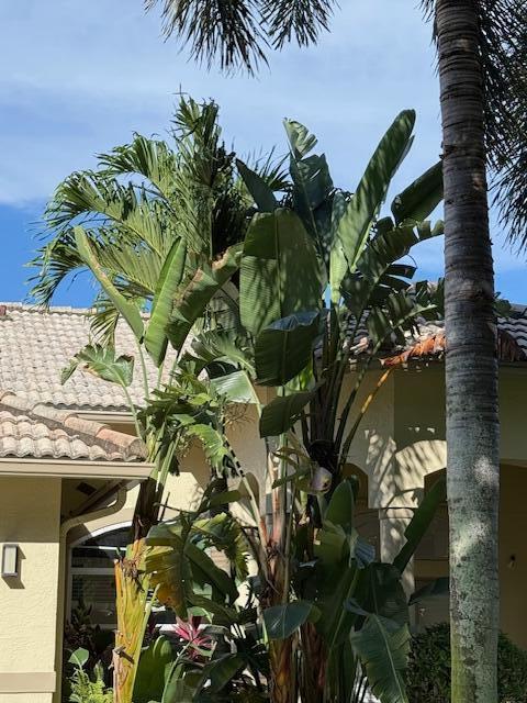 1133 Egret Circle S
