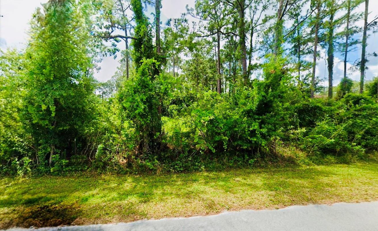 Orange Blossom Estate - Land