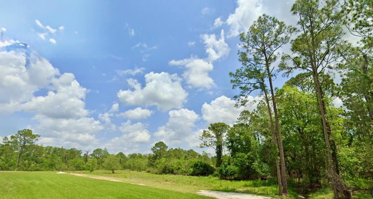 Orange Blossom Estate - Land