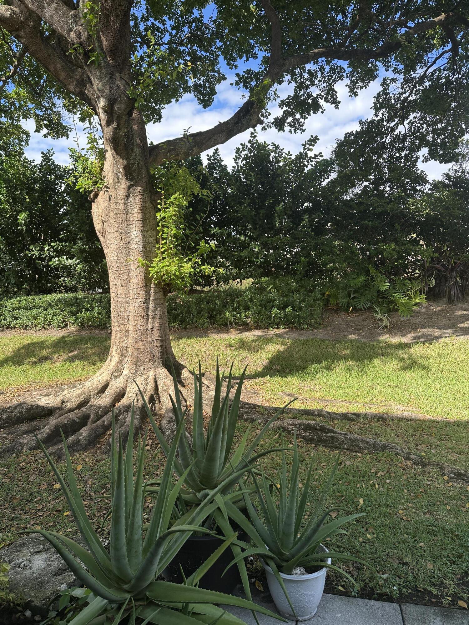 BONAVENTURE - Residential Lease
