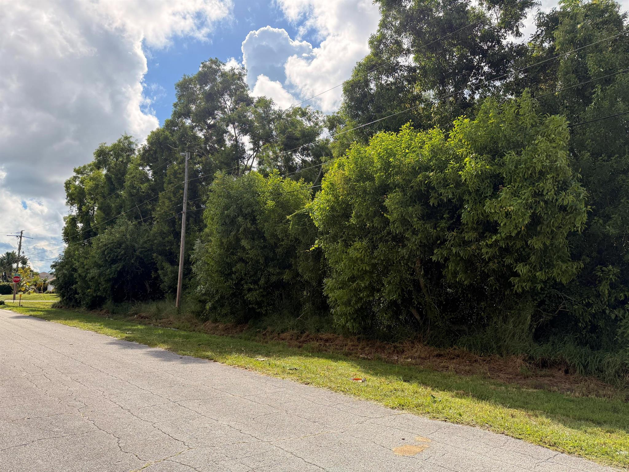 PORT ST LUCIE SECTION 39 - Land