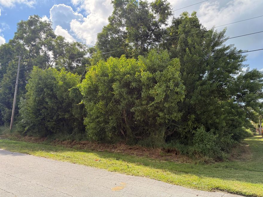 Are you dreaming of building your own home? This interior lot in the highly sought-after Southbend area of Port St. Lucie presents an excellent opportunity for you! Situated on a drainage canal, it offers added privacy. The lot is centrally located, conveniently close to Turnpike, I-95, Palm City, city parks, and a boat ramp. Moreover, the corner lot next door is also available as well!