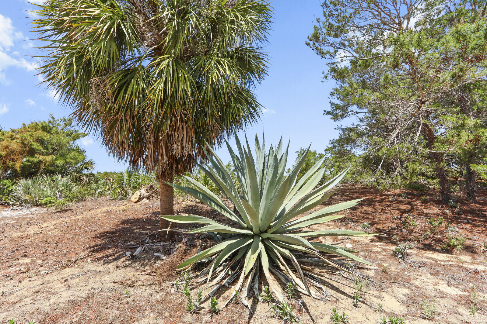 RIDGE AT THE BLUFFS - Residential