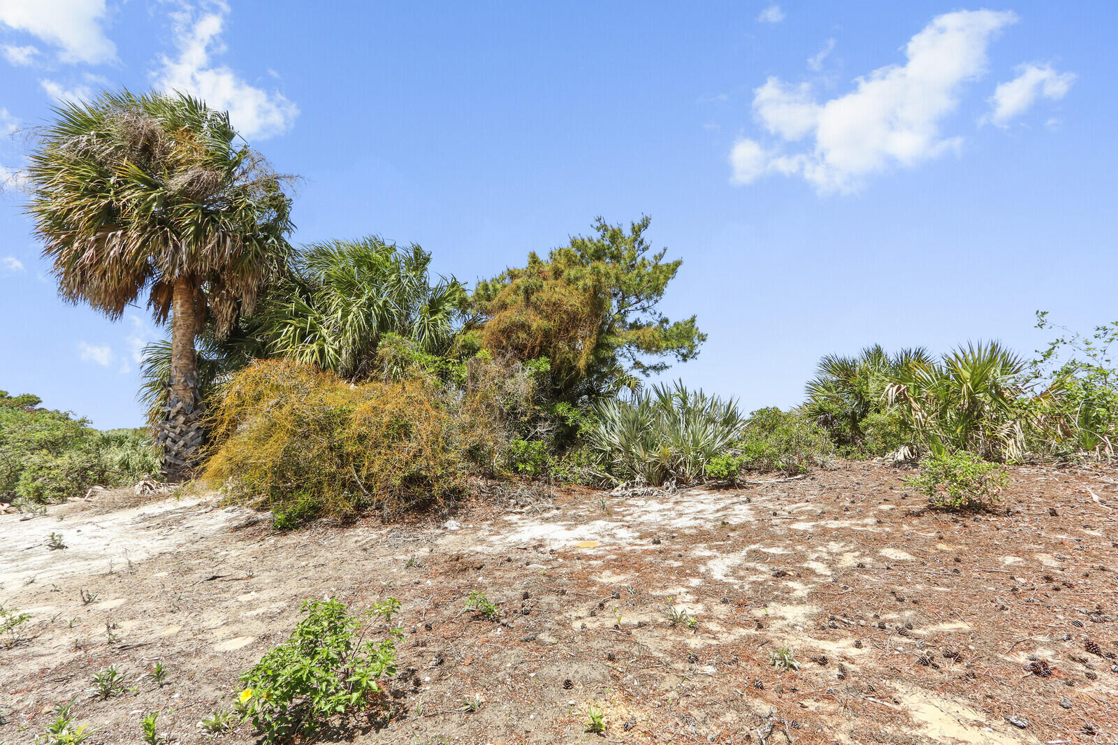 RIDGE AT THE BLUFFS - Residential