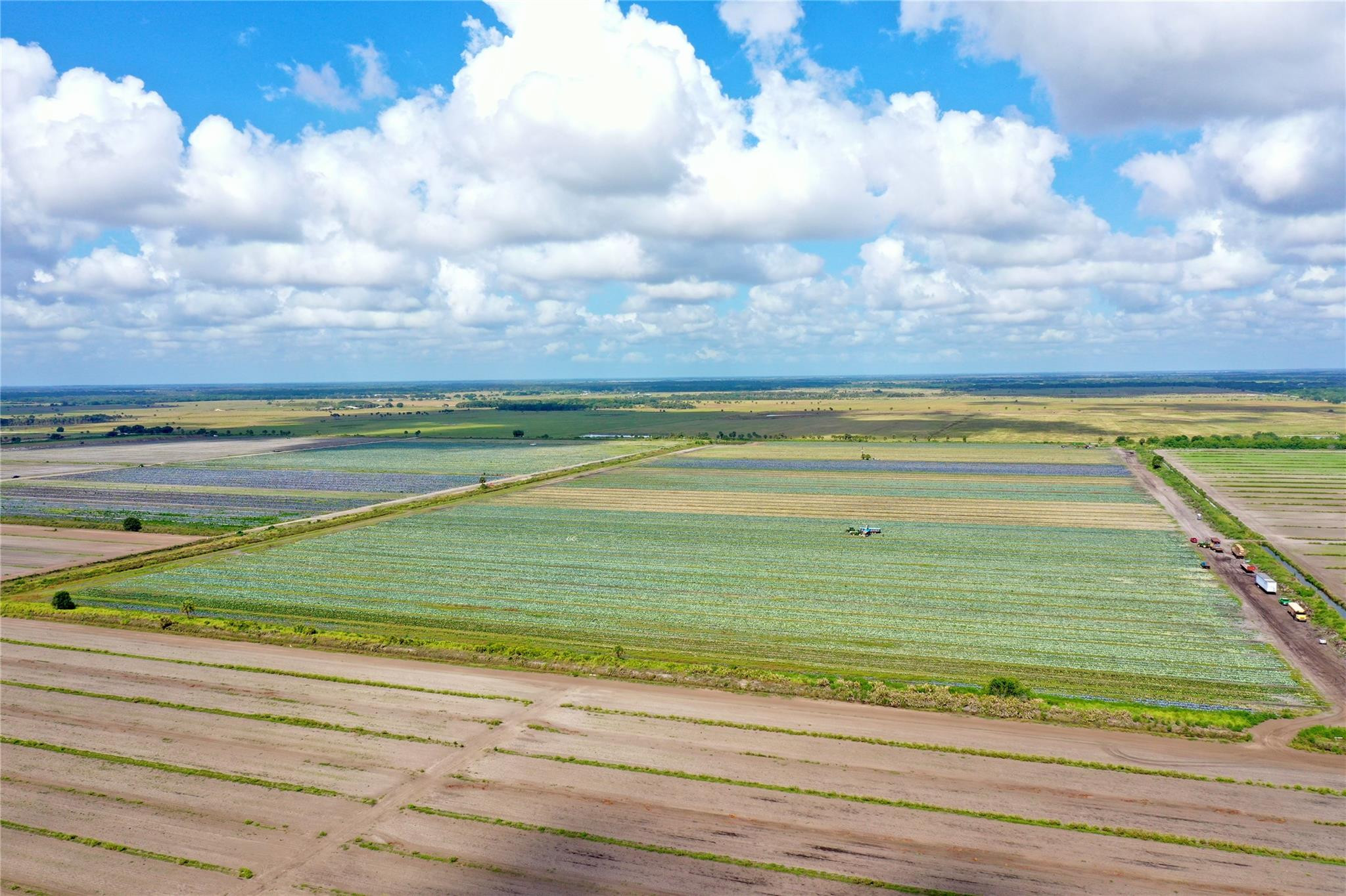 Southern Colonization Co - Land