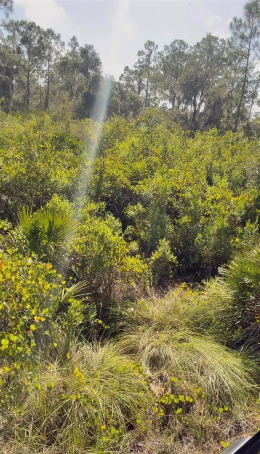 HIGHLAND PARK EST SEC - Land