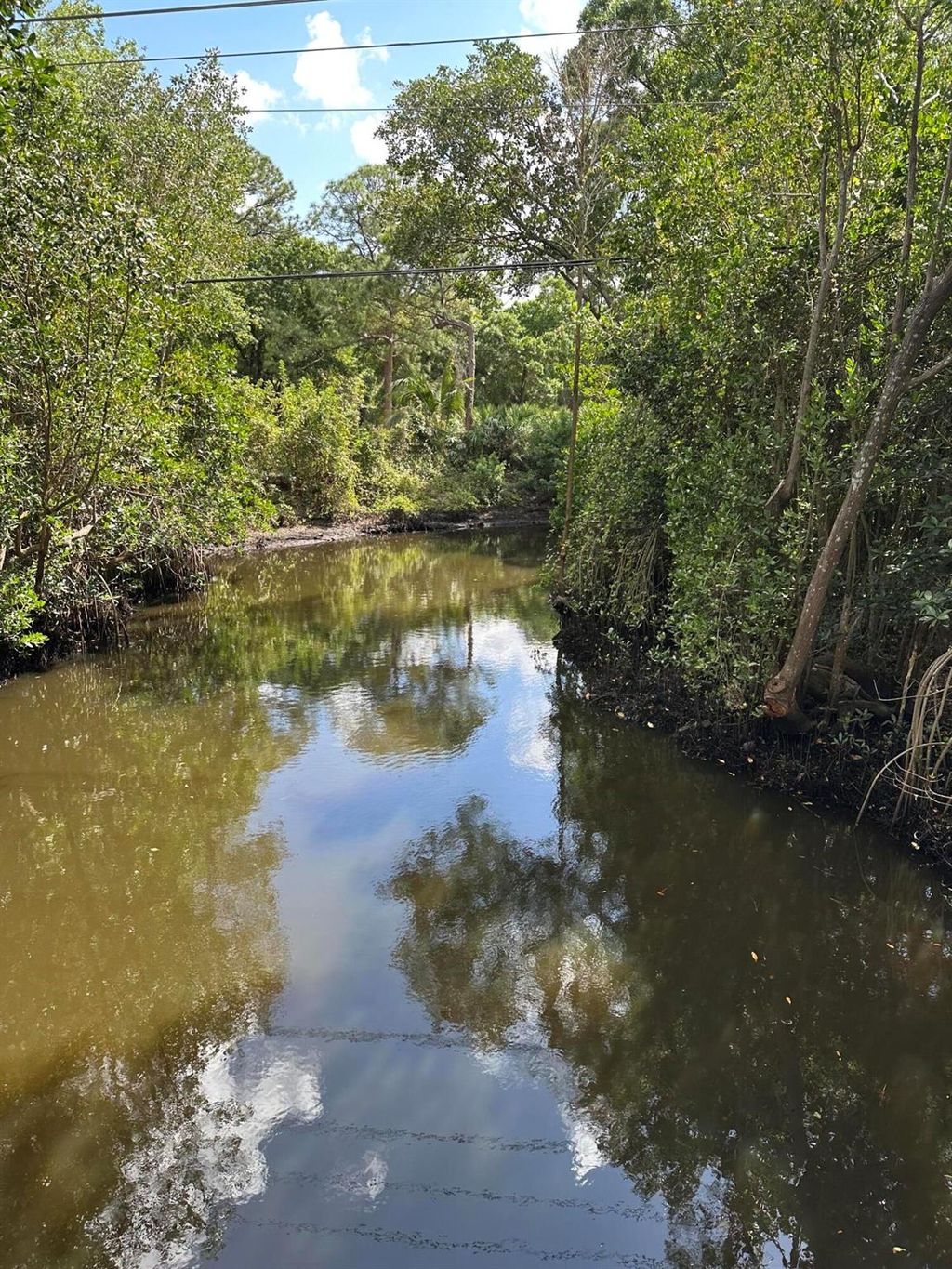 Photo of 992 Mohican Boulevard, Jupiter, FL 33458 (MLS # R11066644)