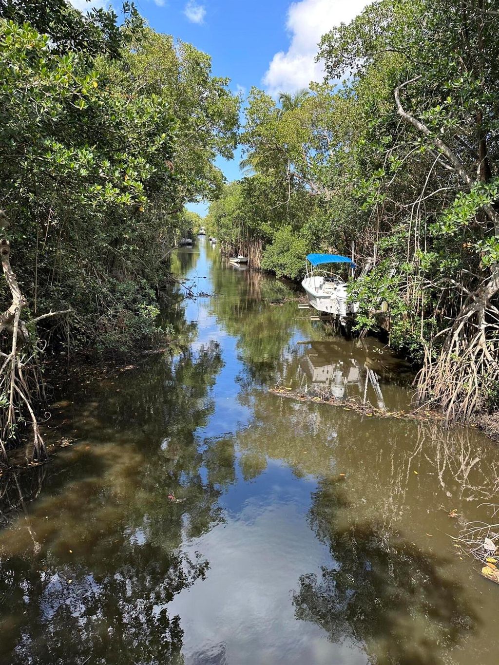 Photo of 992 Mohican Boulevard, Jupiter, FL 33458 (MLS # R11066644)