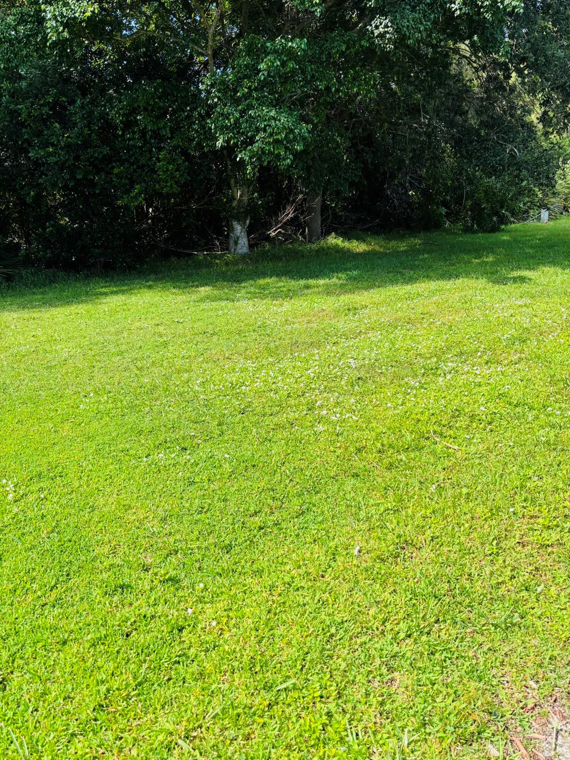 Spanish Lakes Golf Villag - Residential