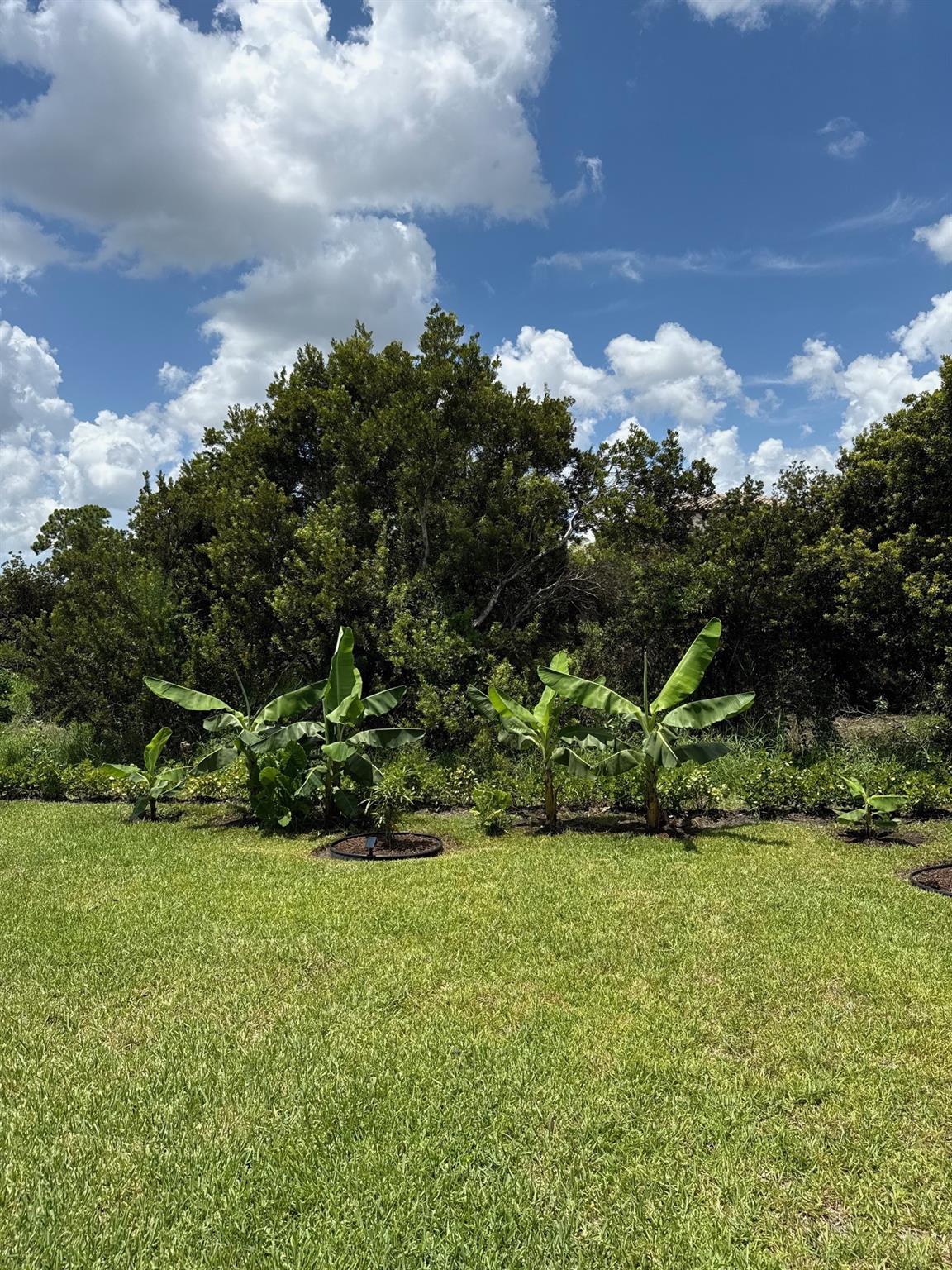 Tesoro Preserve 02 - Residential