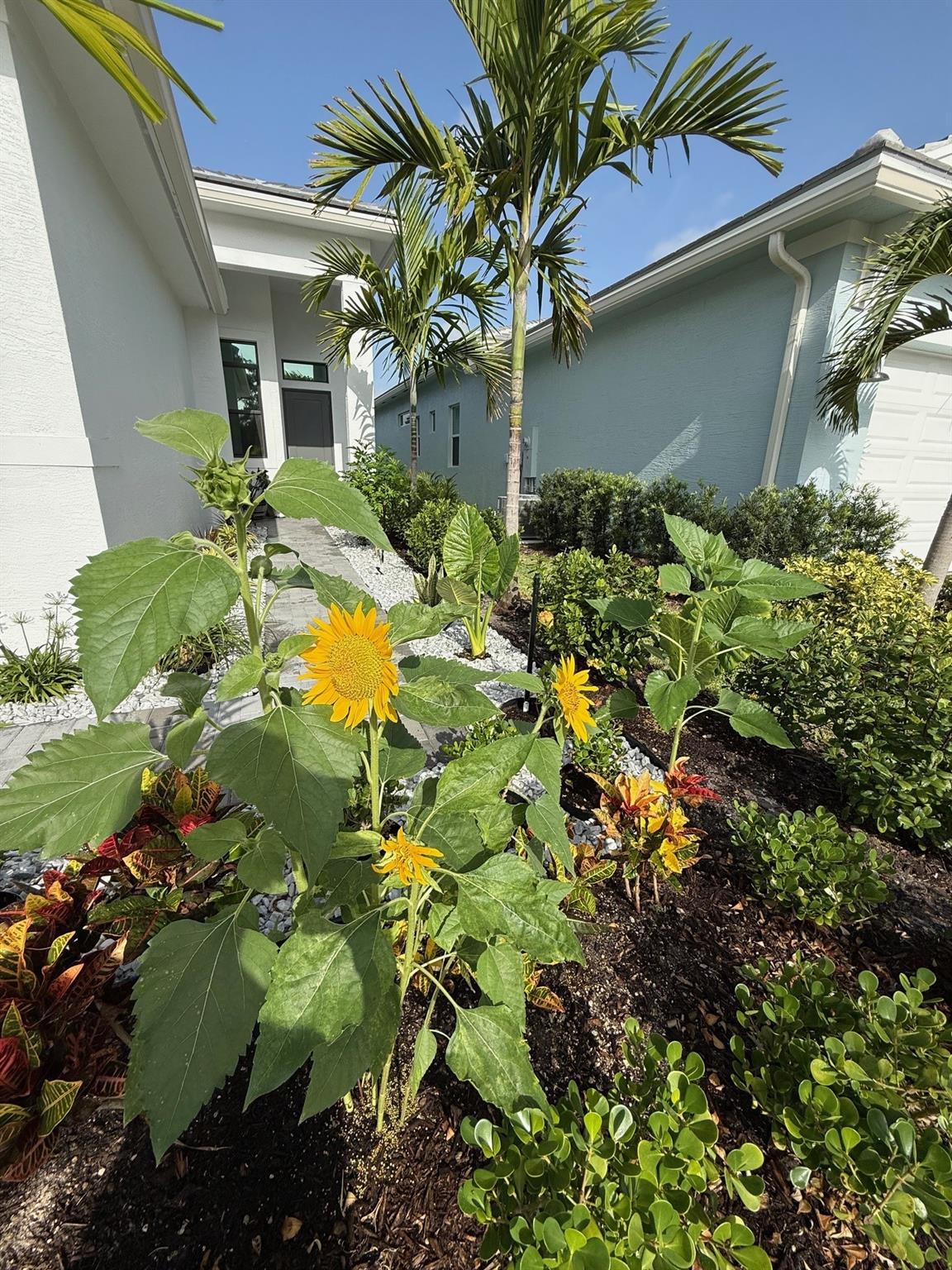 Tesoro Preserve 02 - Residential