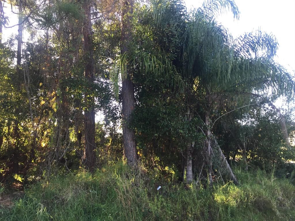 Photo of 1602 SW Cycle Street, Port Saint Lucie, FL 34953 (MLS # R10760872)