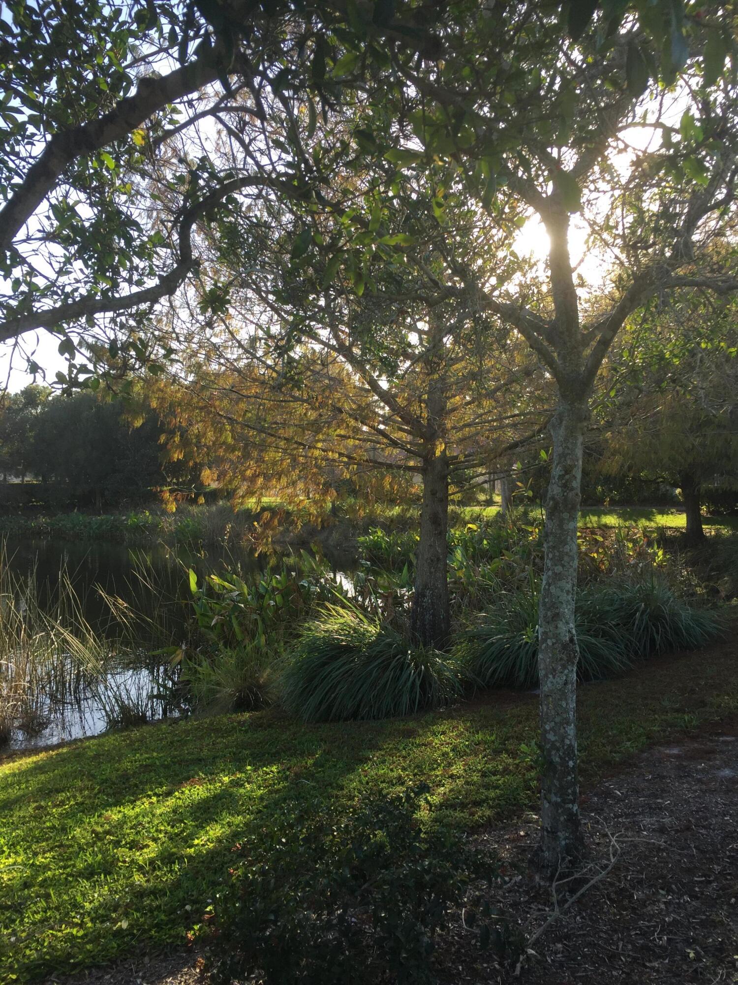 KNOLLWOOD - Residential