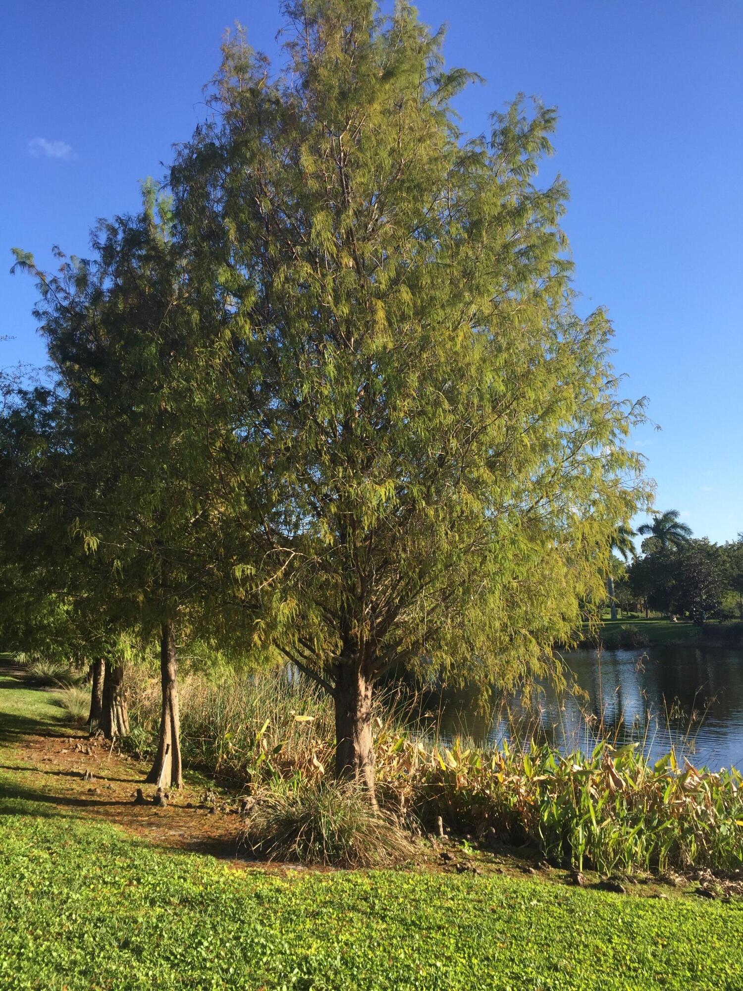 KNOLLWOOD - Residential