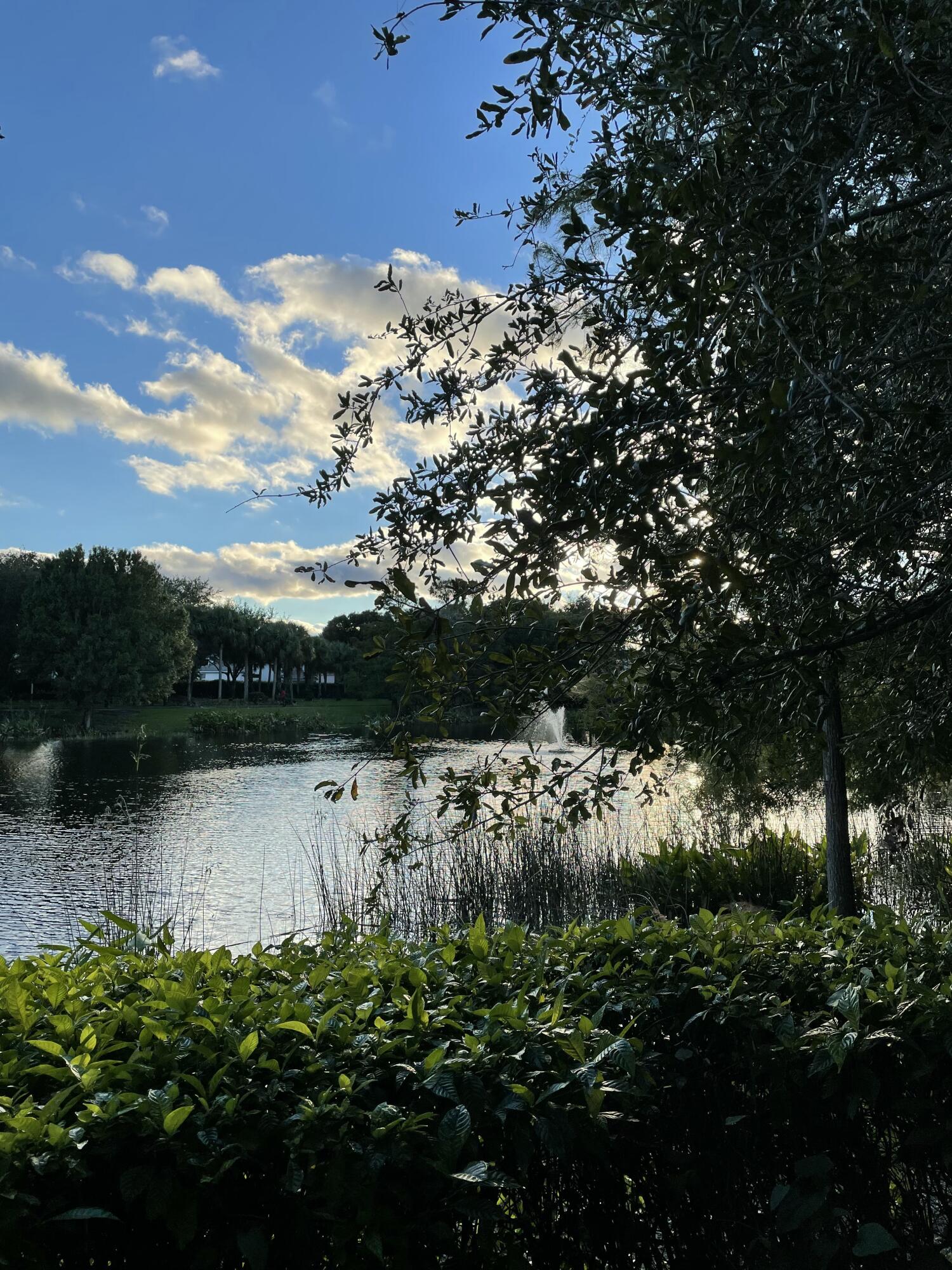 KNOLLWOOD - Residential