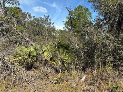 0 Jackson St Lake Wales FL 33898