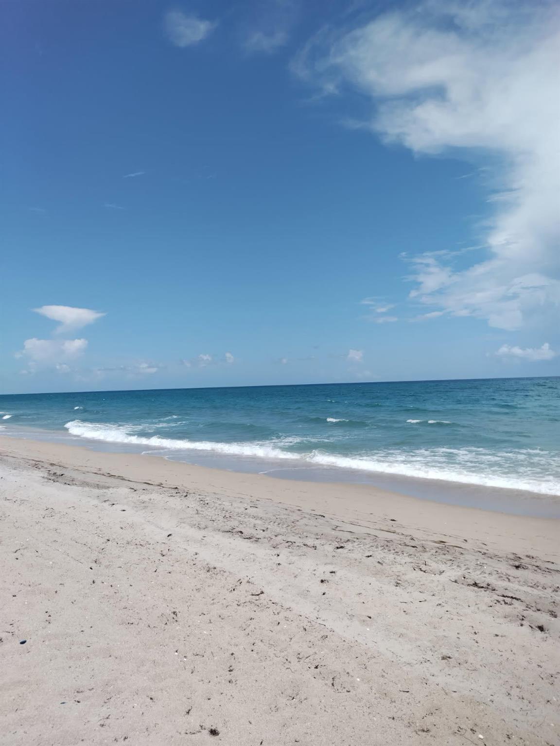 PALM BEACH WHITEHOUSE - Residential