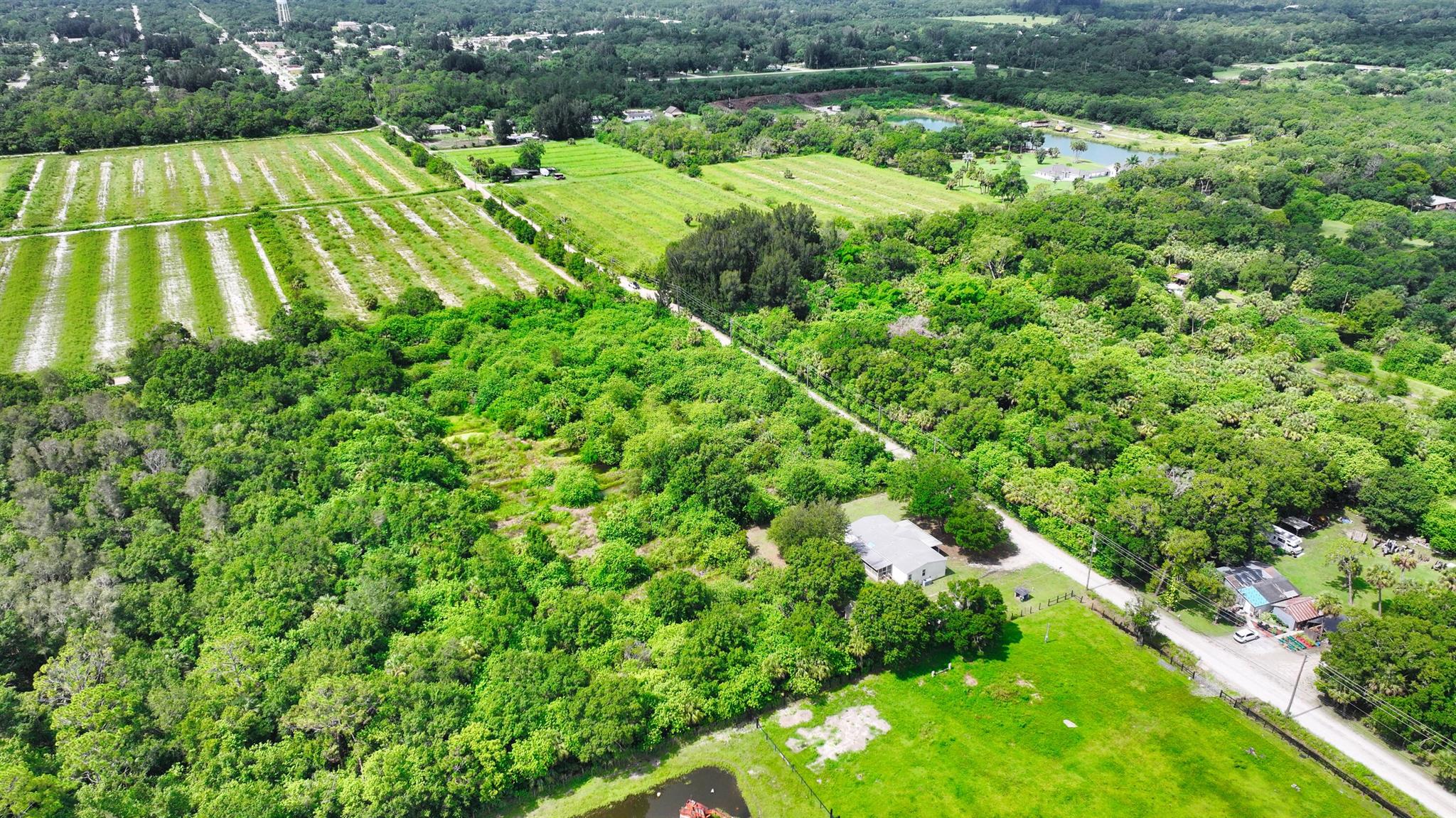 FELLSMERE FARMS CO S/D OF - Land