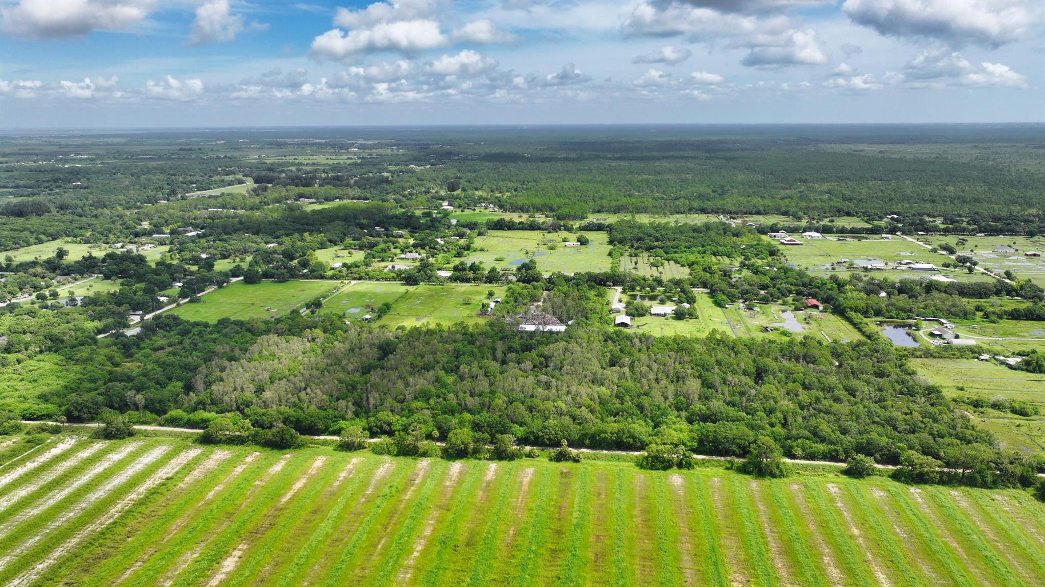FELLSMERE FARMS CO S/D OF - Land