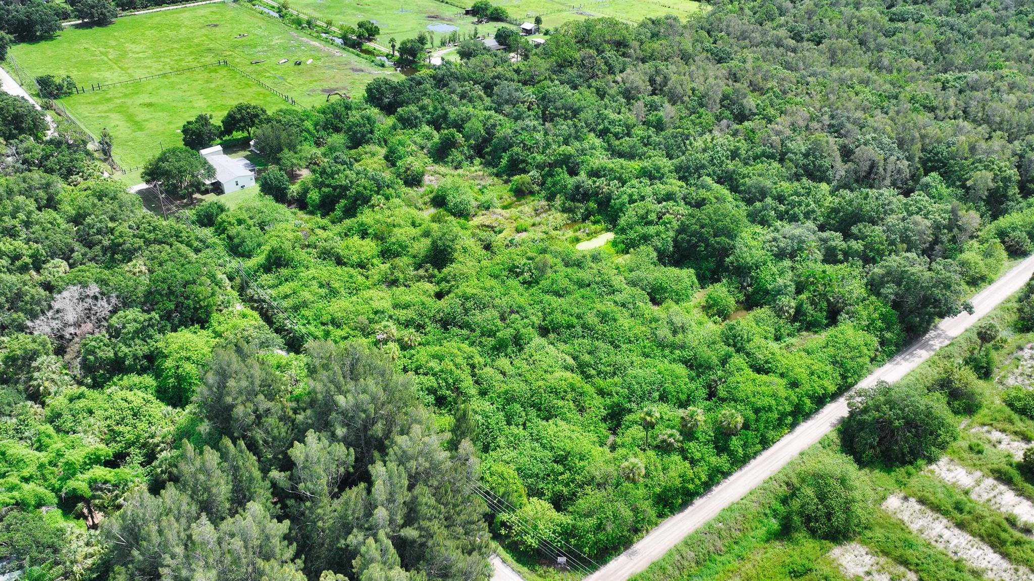 FELLSMERE FARMS CO S/D OF - Land