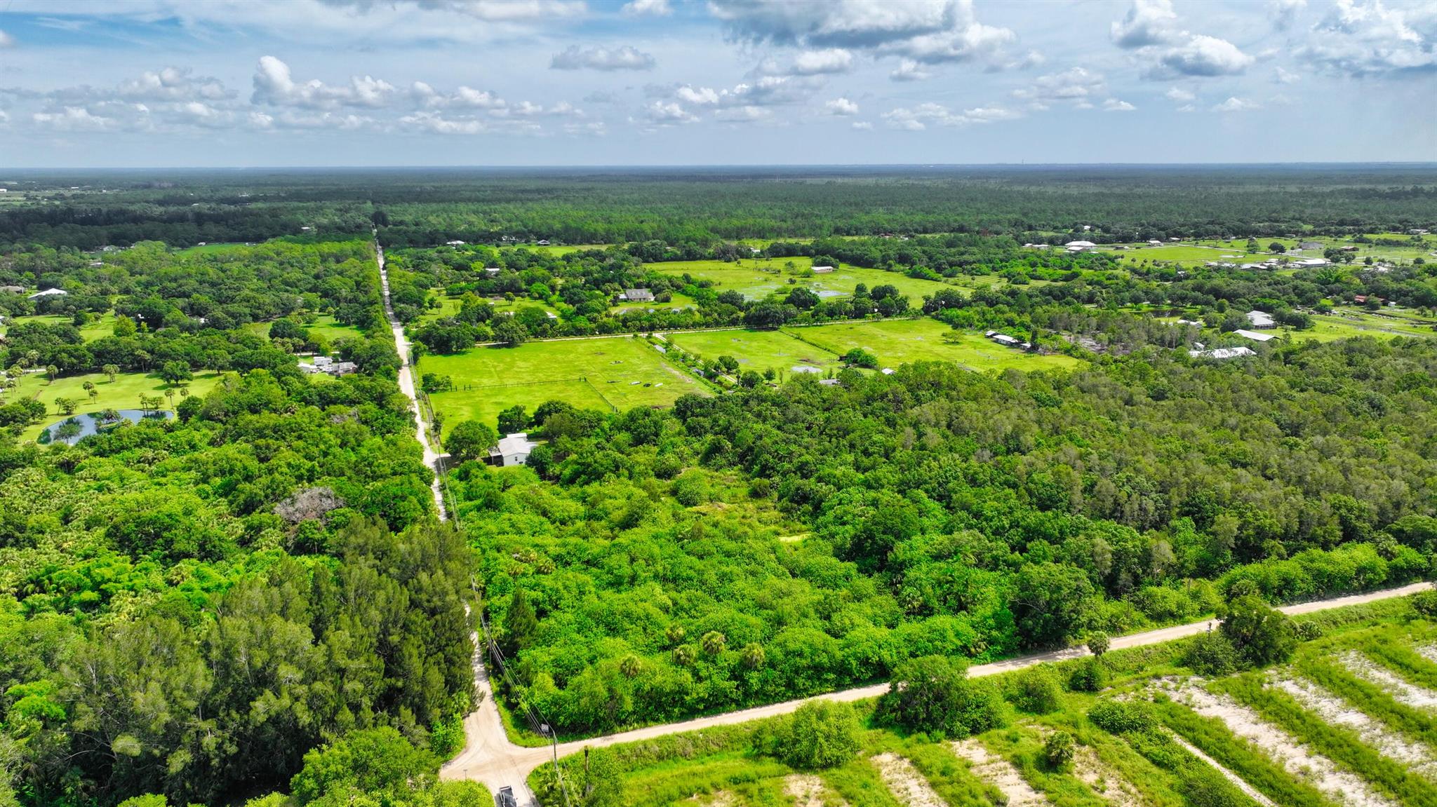 FELLSMERE FARMS CO S/D OF - Land