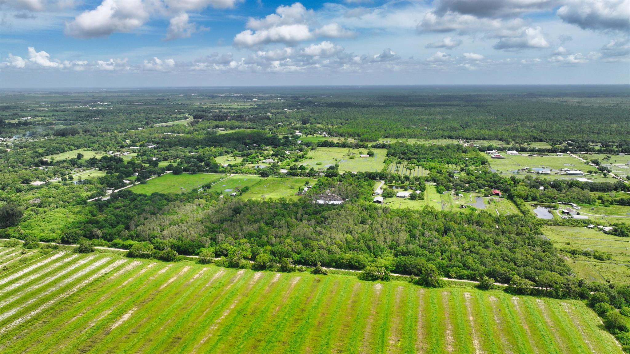 FELLSMERE FARMS CO S/D OF - Land